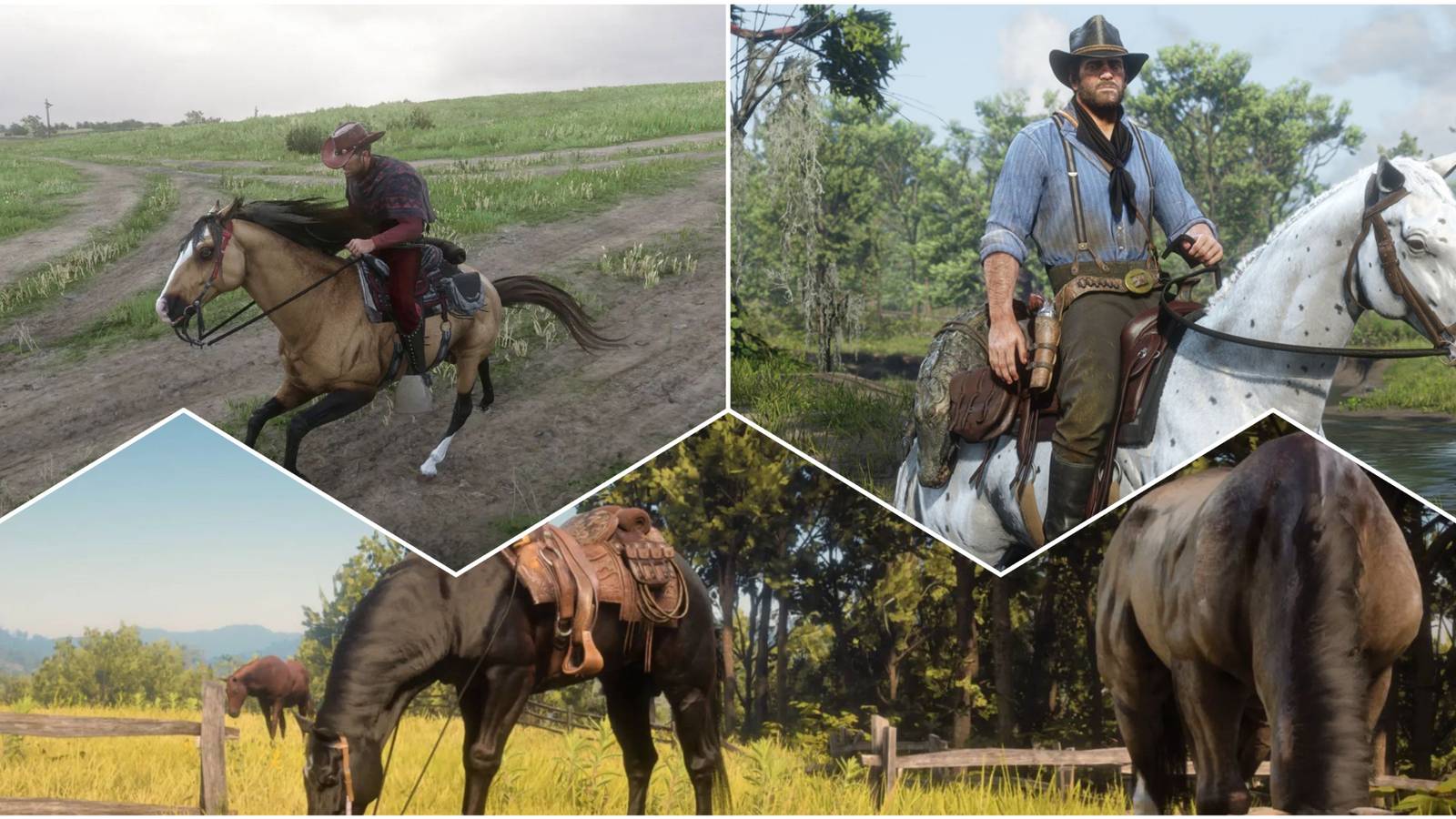 Best Horse Mods For RDR2