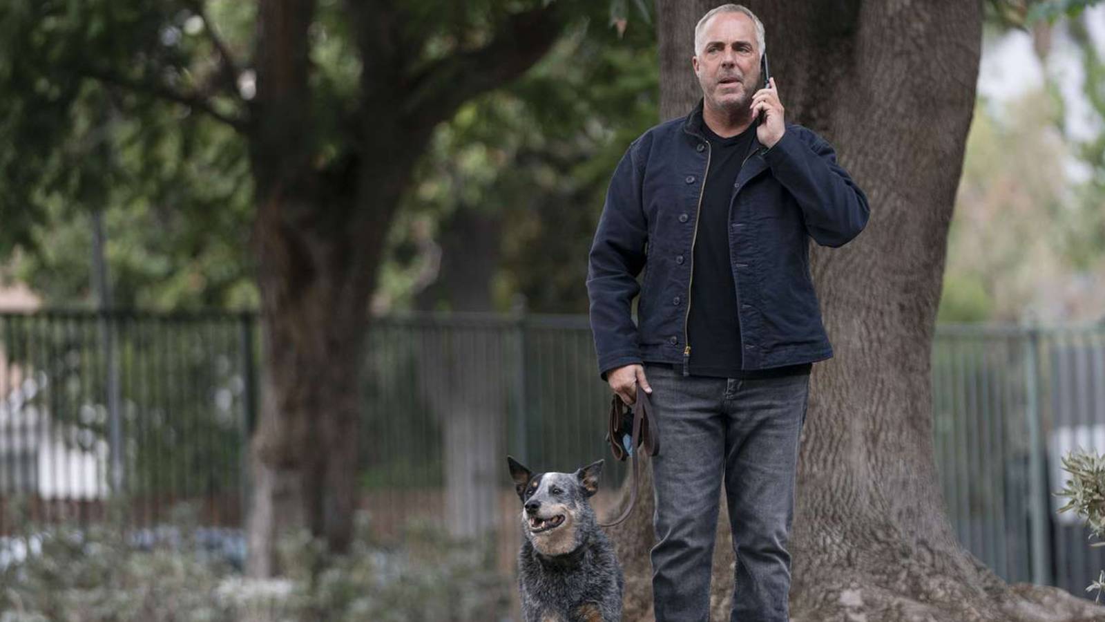 Harry bosch walking coltrane