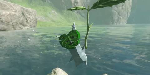 The first Korok in The Legend of Zelda: Breath of the Wild.