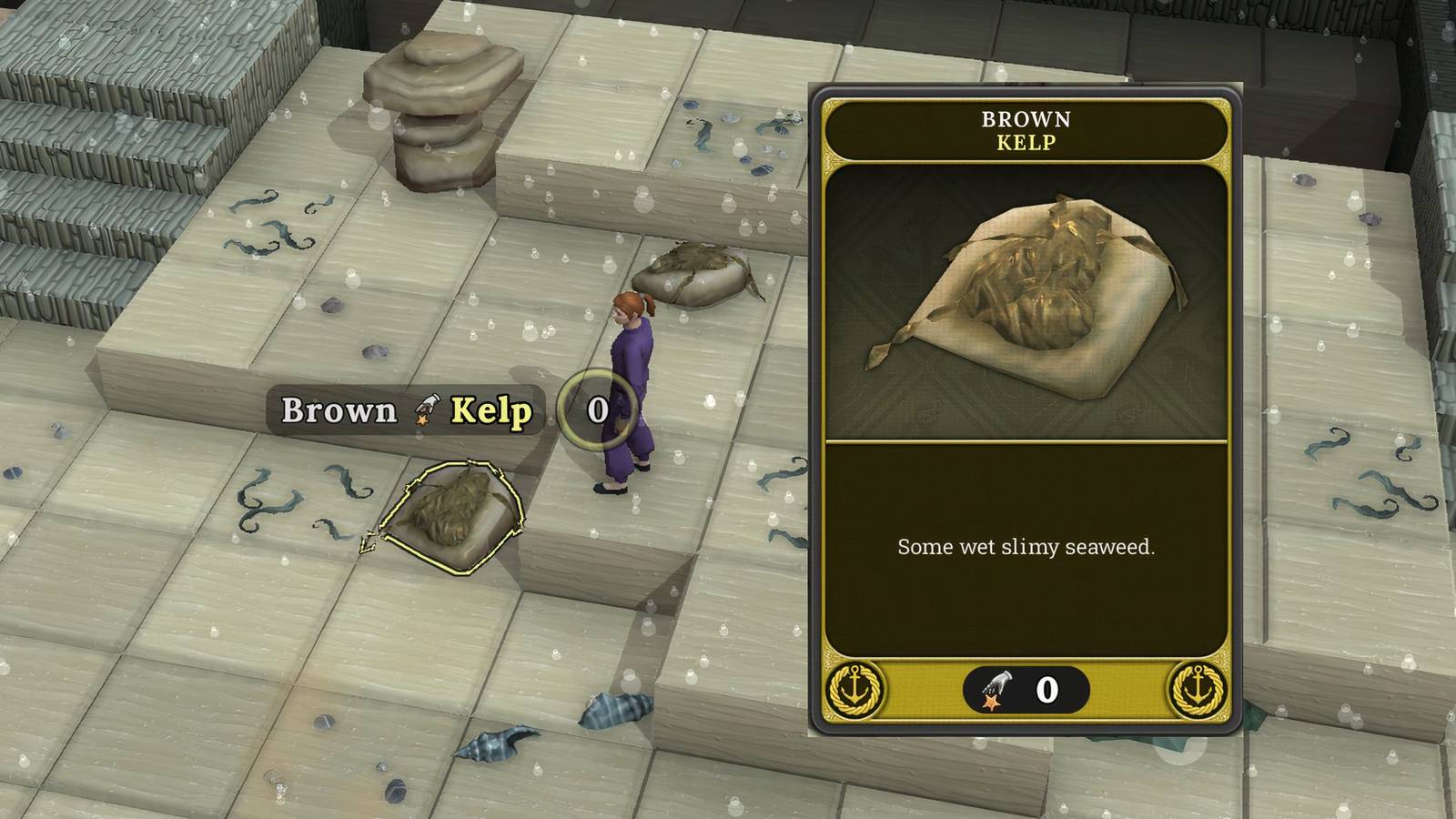 brown kelp brighter shores