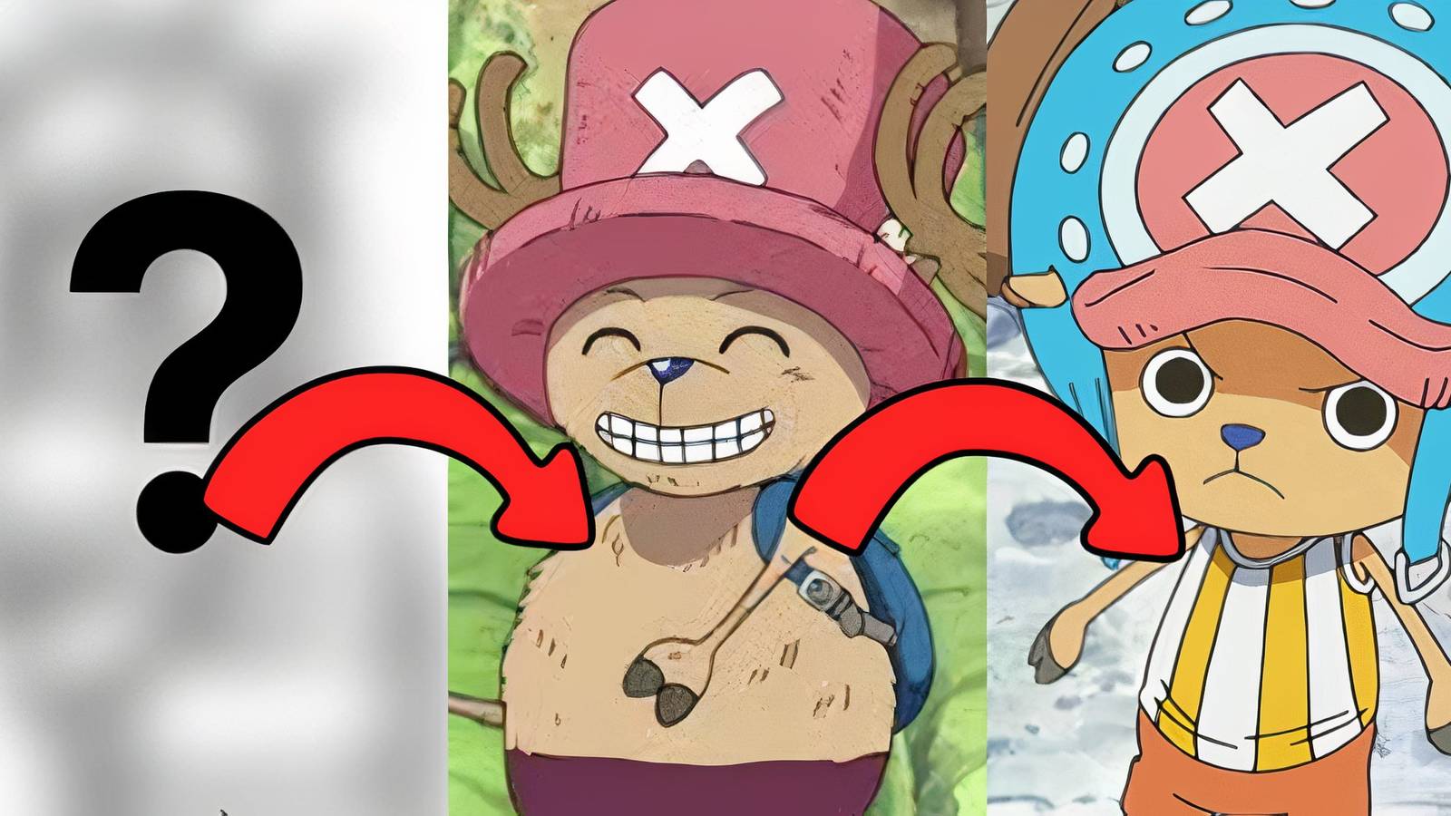 Chopper's Design Growth