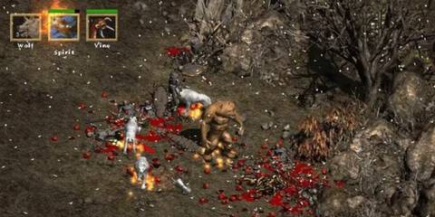 Diablo 2 Massive Enemy