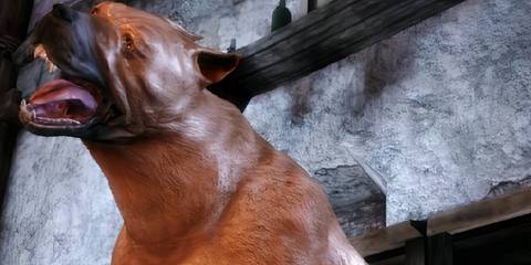 Dragon Age Origins Mabari leaping into action