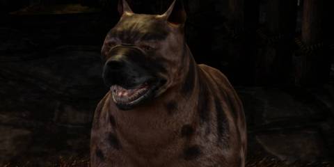 Dragon Age Origins spotted mabari hound