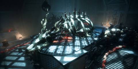 Dragon Age Veilguard Cauldron