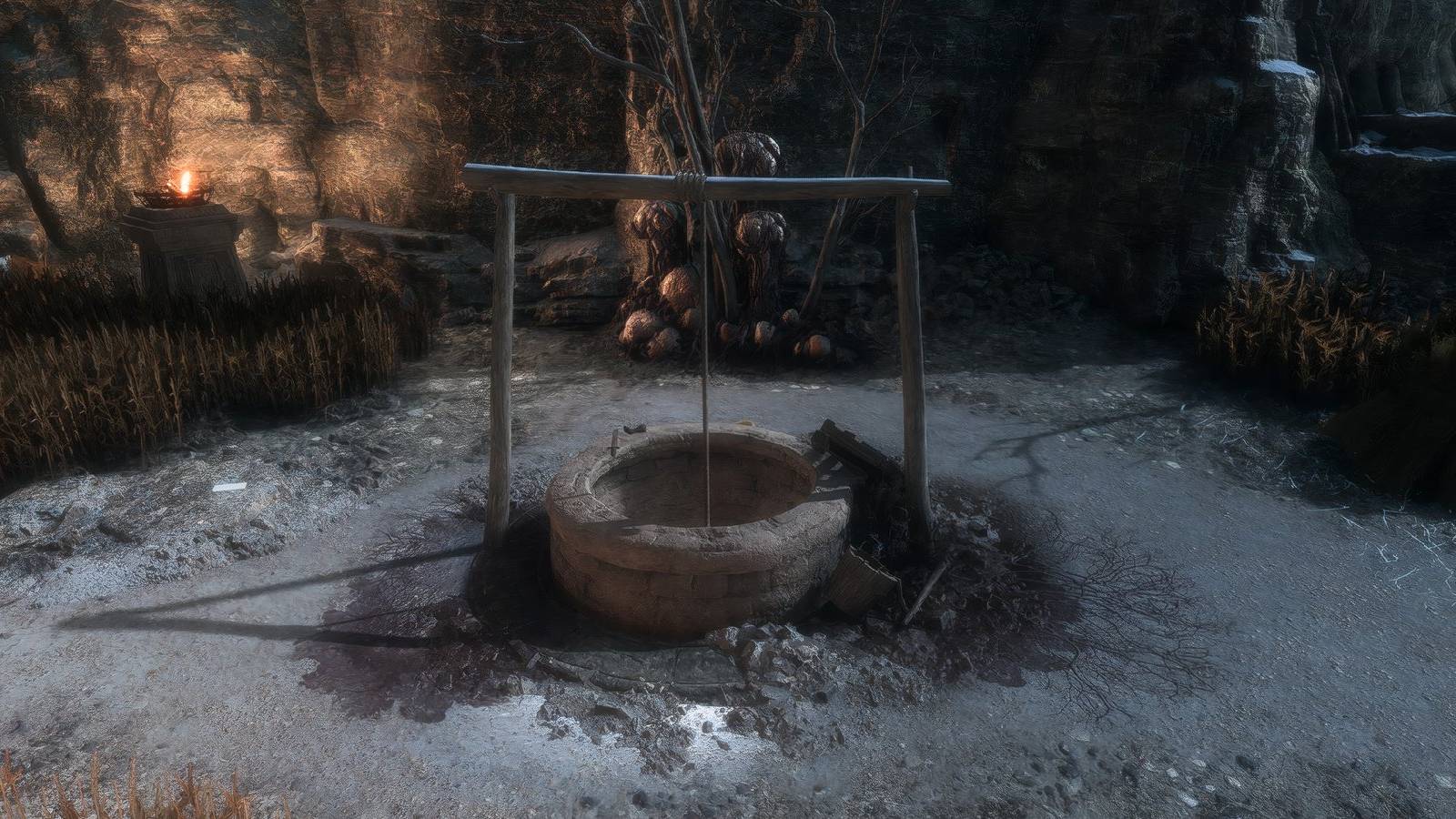 Dragon Age Veilguard Only an Echo