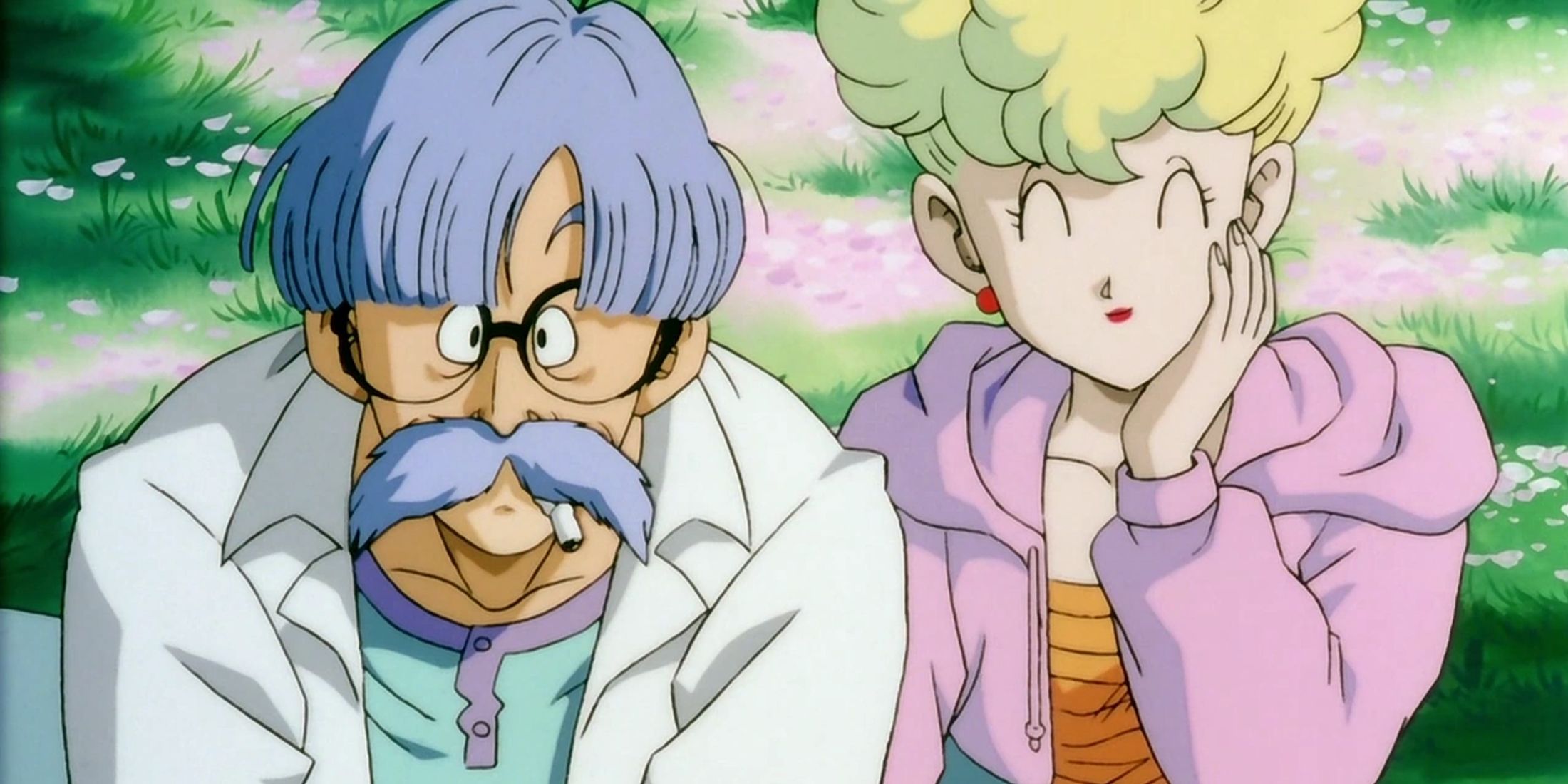 Dragon-Ball-Dr Brief-3