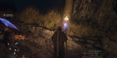 dragons dogma 2 golden trove beetle