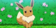 EBay Launches Eevee Inspired Pokemon Evolving Shop EBay Launches Eevee Inspired Pokemon Evolving Shop