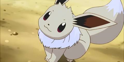 Eevee-shiny-pokemon-sleep-eevee-week