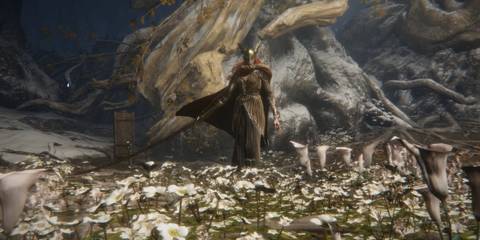 malenia's intro scene in elden ring