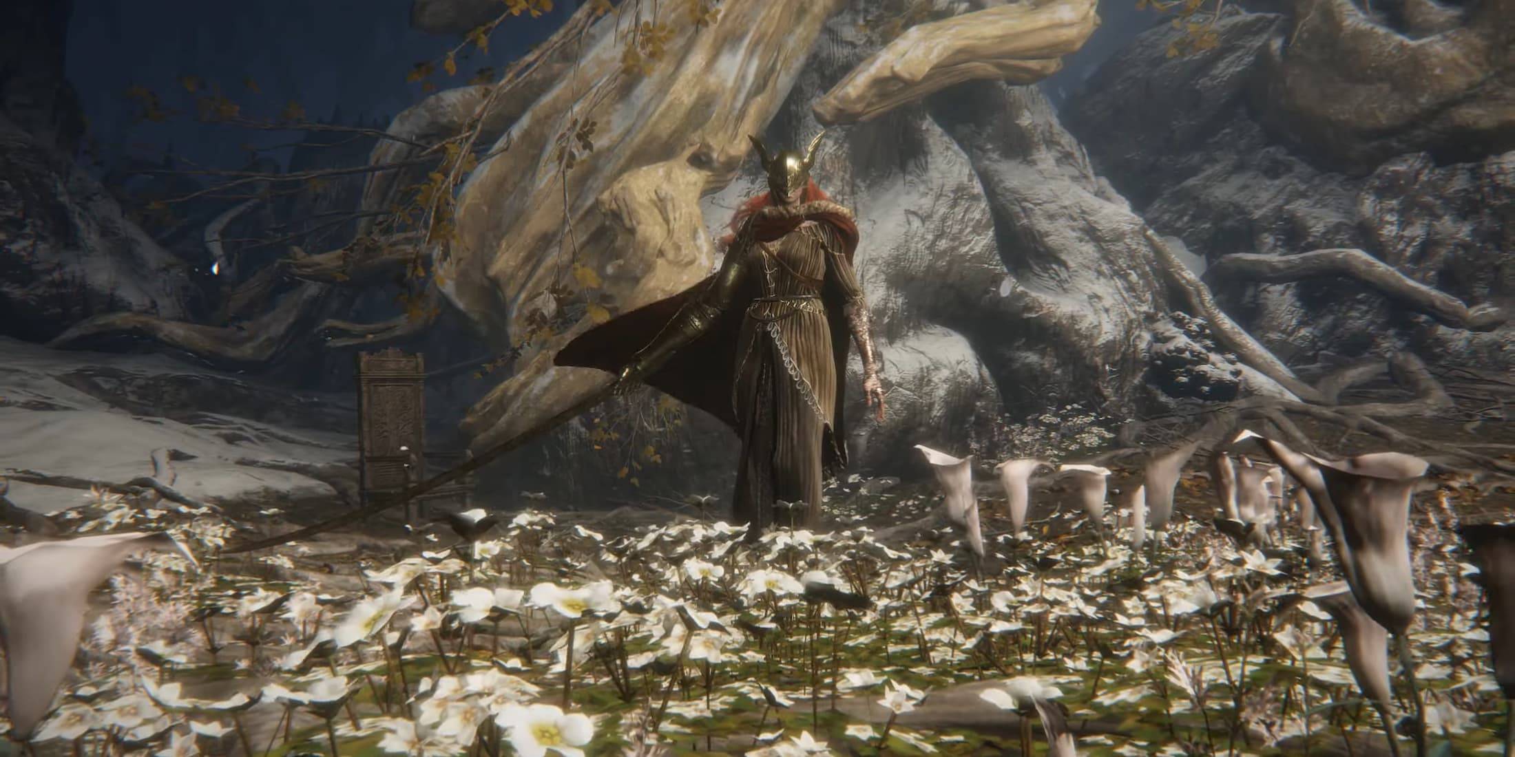Elden Ring: Stranded Graveyard Dungeon Guide