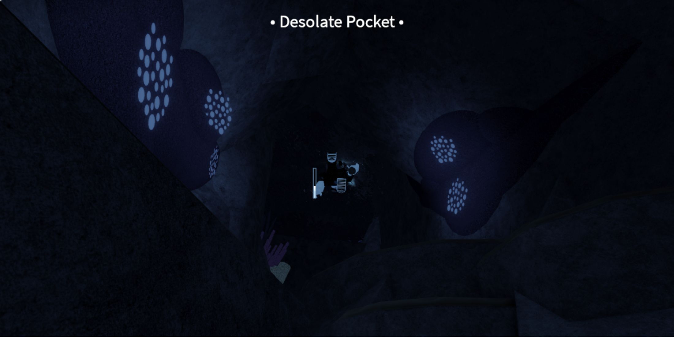 Fisch Desolate Pocket