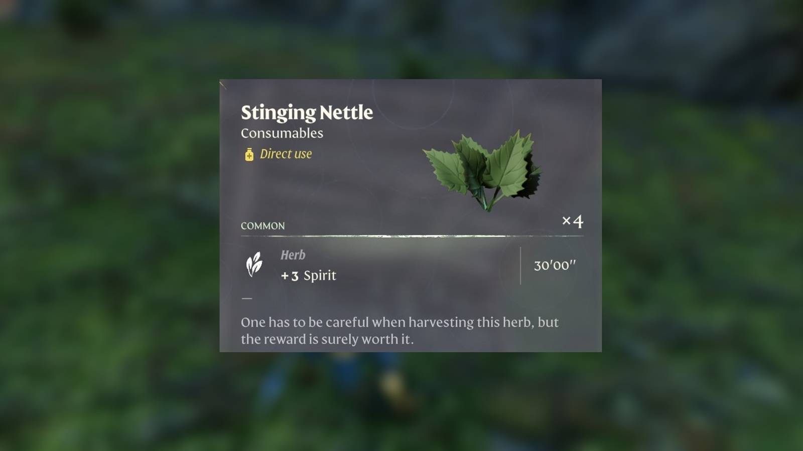 Stinging Nettle info card in Enshrouded