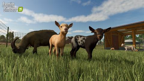 Farming Simulator 25 Press Image 9-2
