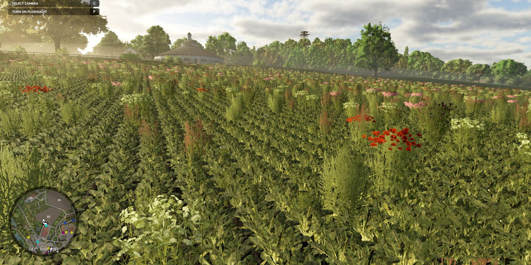 The Best Crops To Make Money In Farming Simulator 25