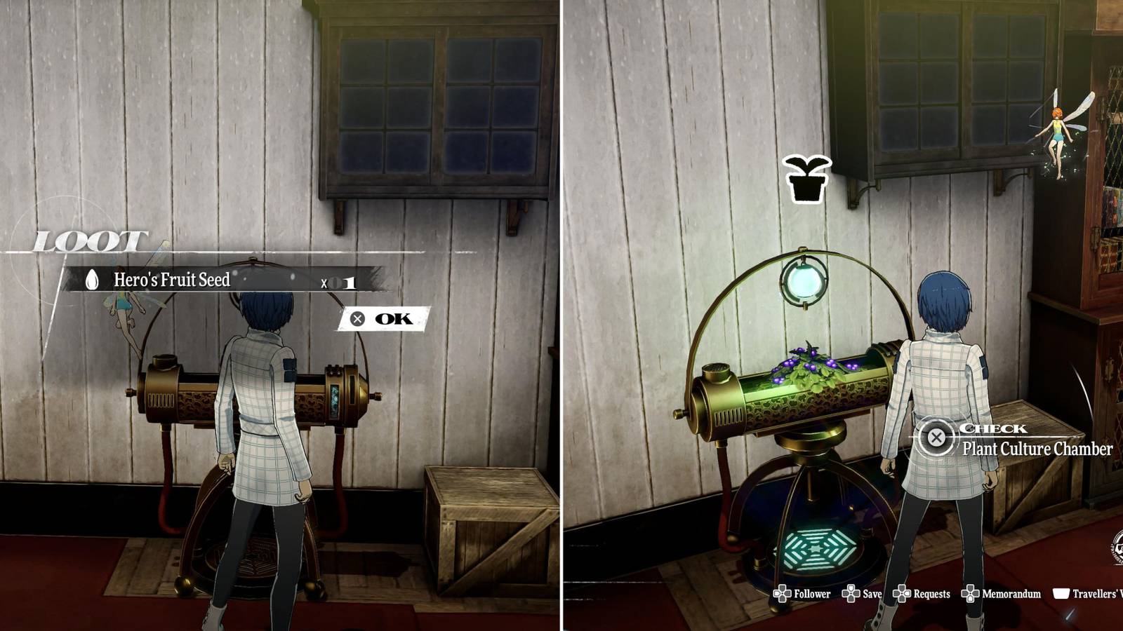 The Player Getting Seeds & About To Harvest A Plant