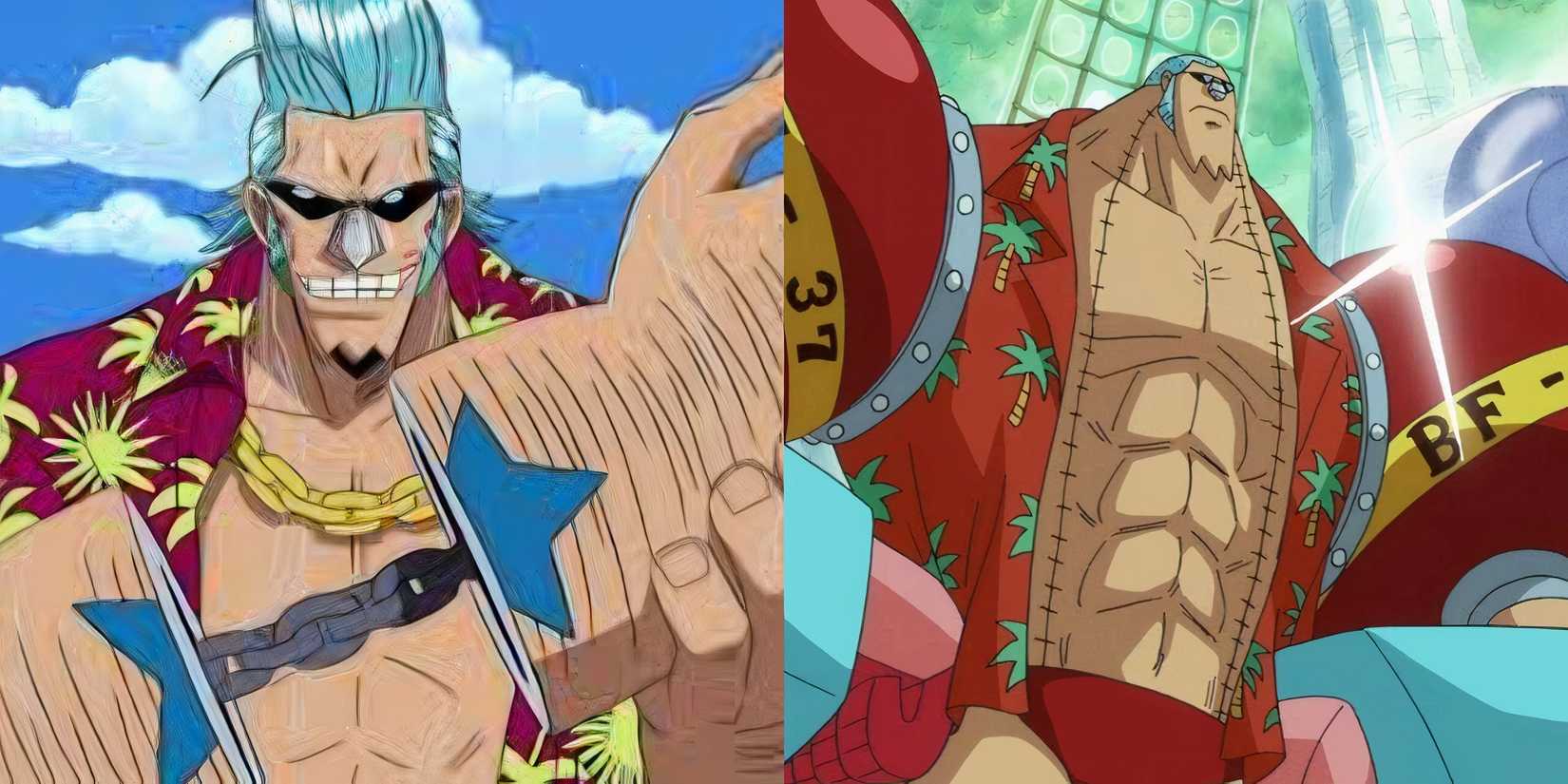 Franky s Best Inventions In One Piece franky-s-best-inventions-in-one-piece