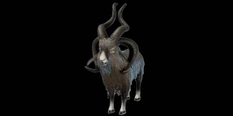 frizzy goat enshrouded