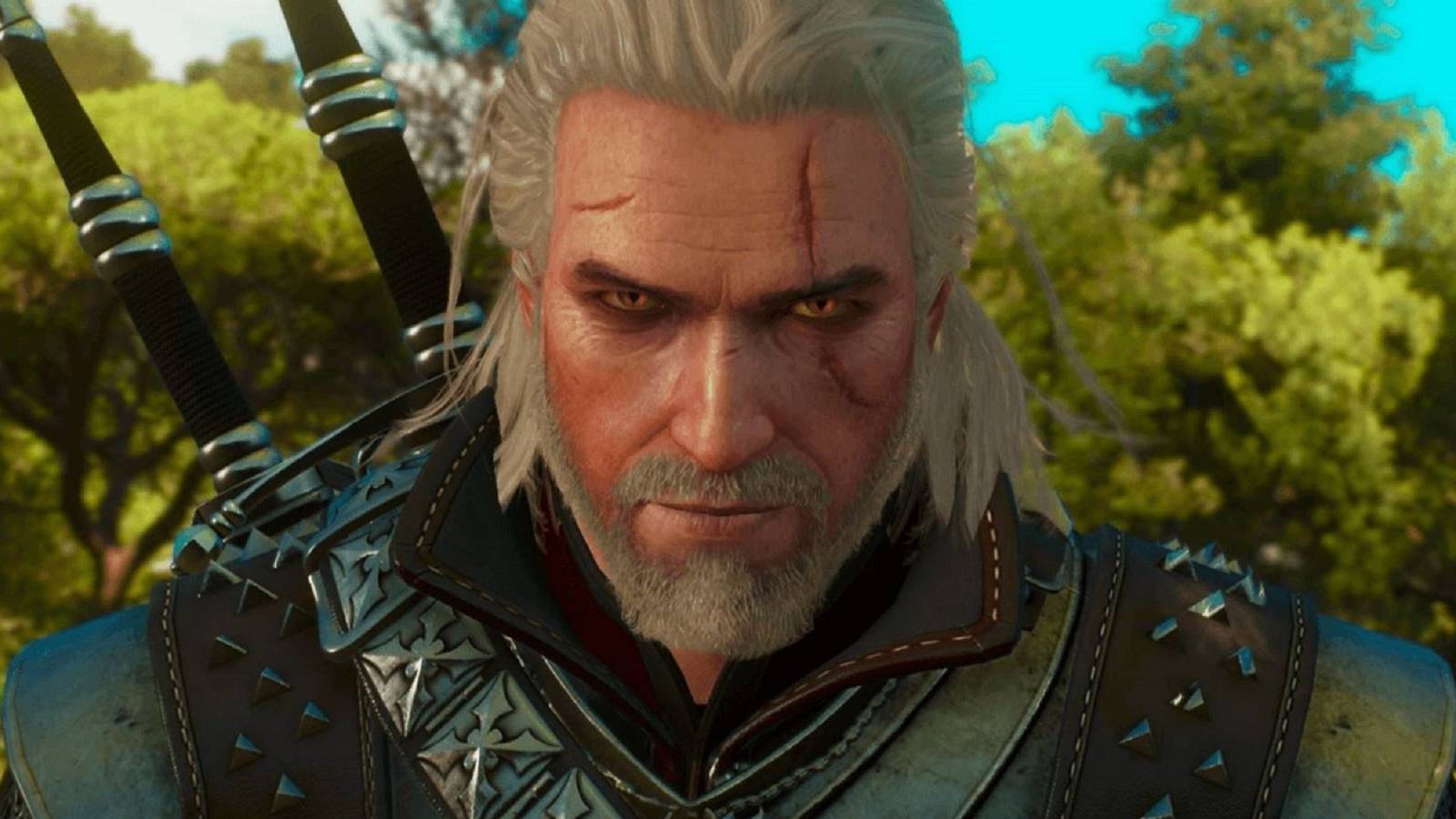 New Witcher Book Will Be About Teenage Geralt