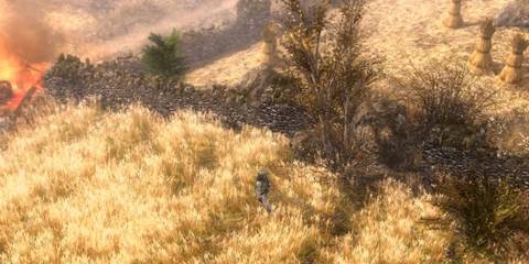 Grim Dawn Grass-1