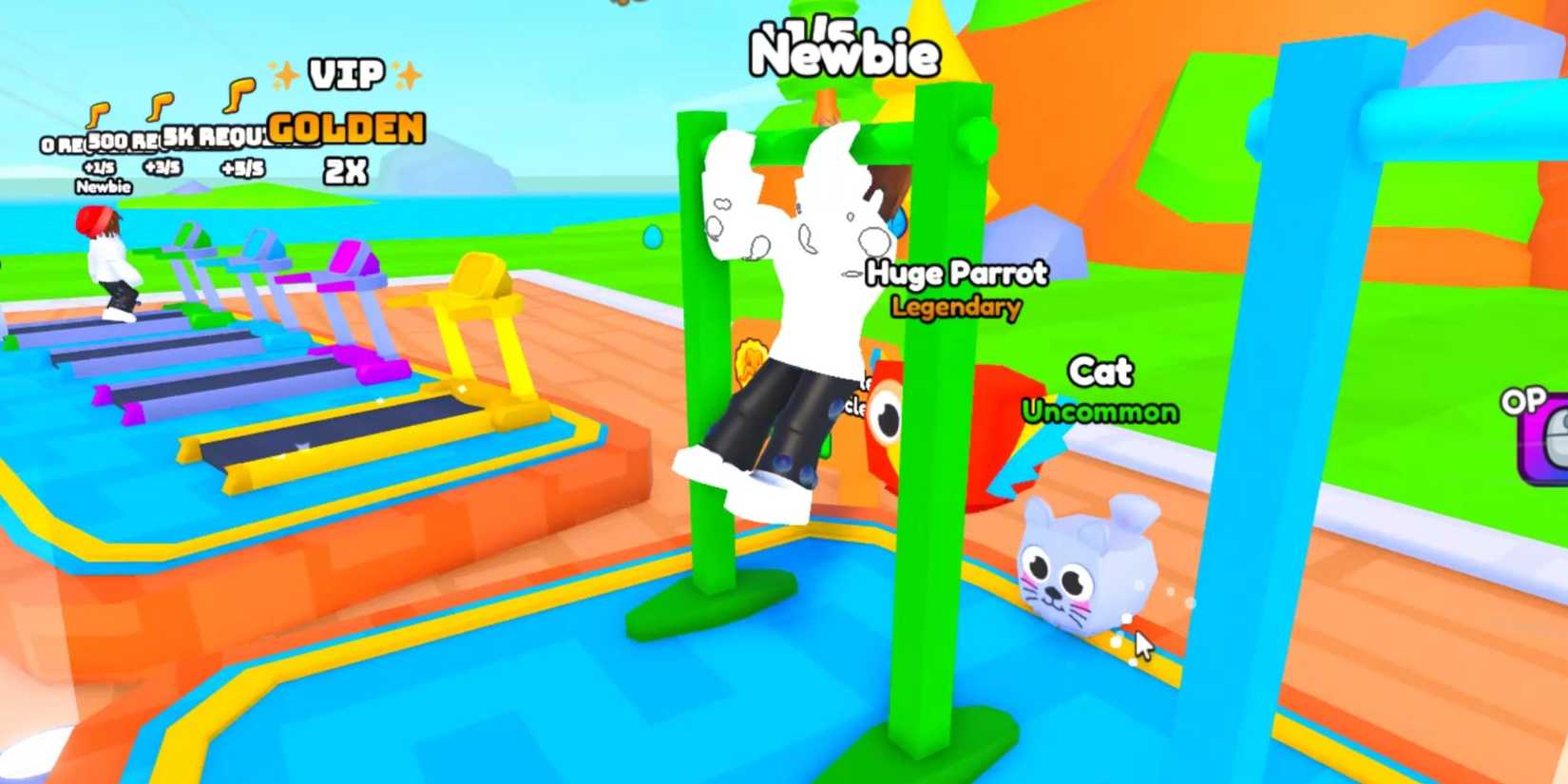 Roblox: Gym Rope Race Codes