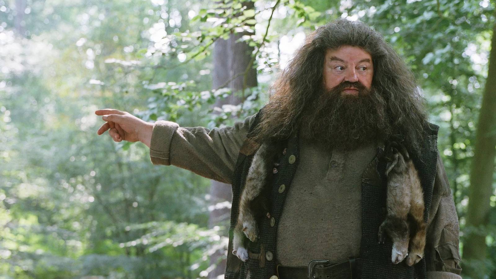 Hagrid in Harry Potter 