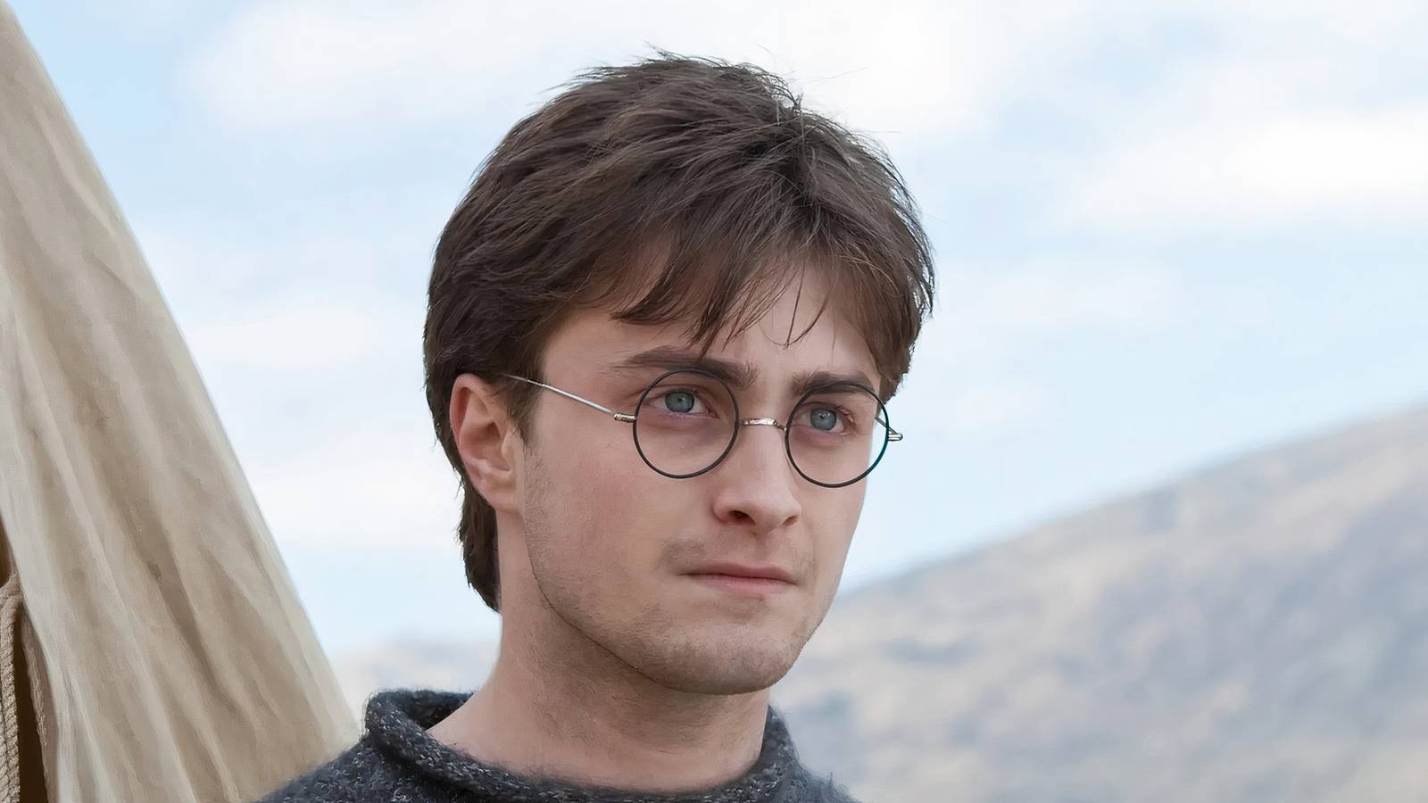 Harry Potter as an adult 