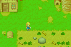 Harvest Moon- More Friends of Mineral Town Press Image 3