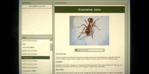 home-safety-hotline_carpenter-ant