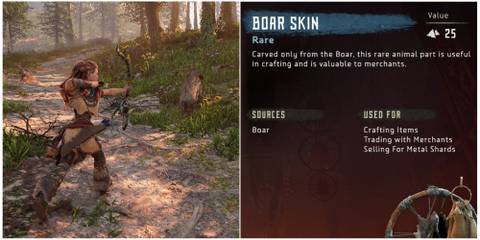 horizon zero dawn aloy hunting boar