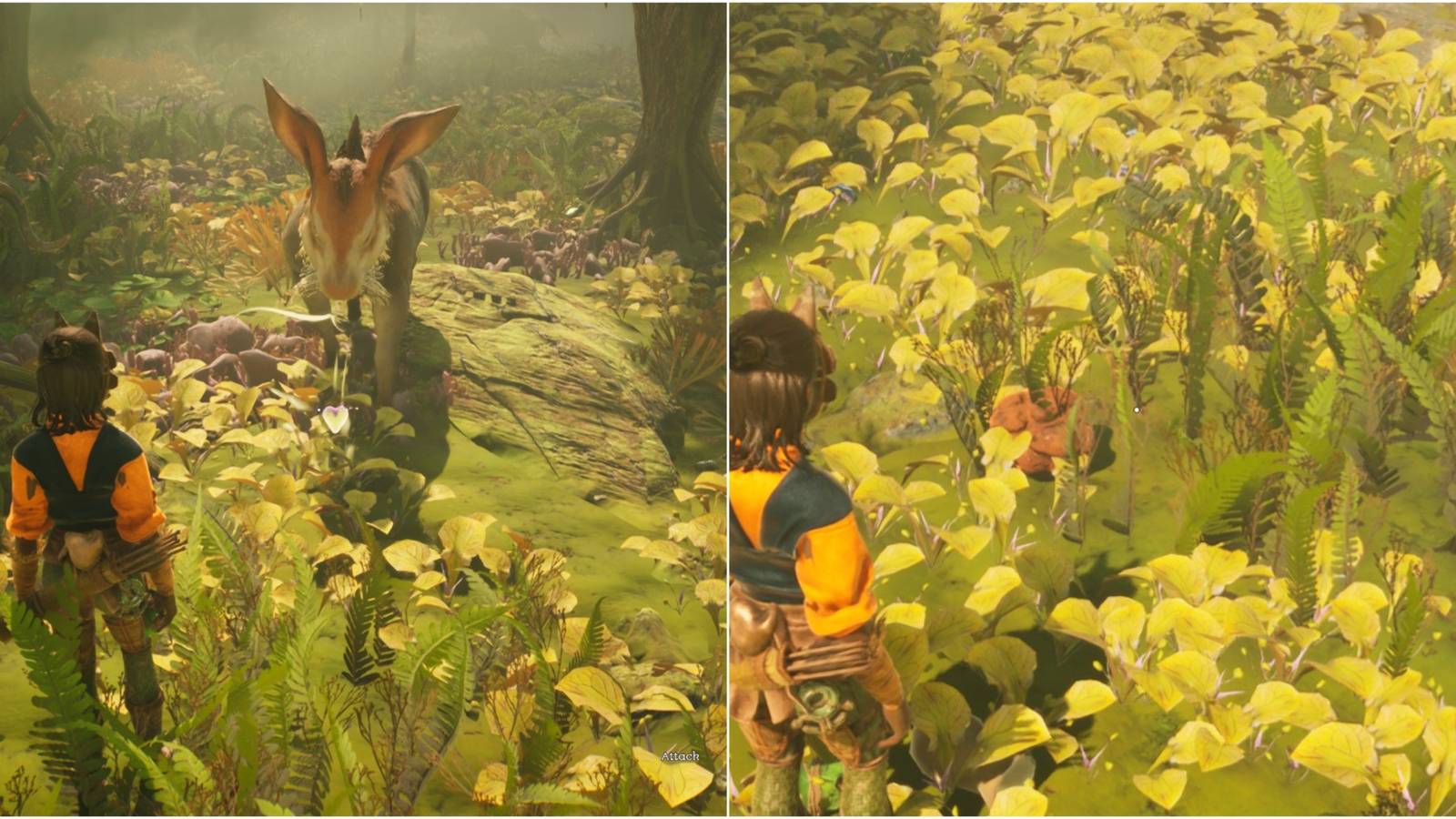 How to get Fur in Towers of Aghasba