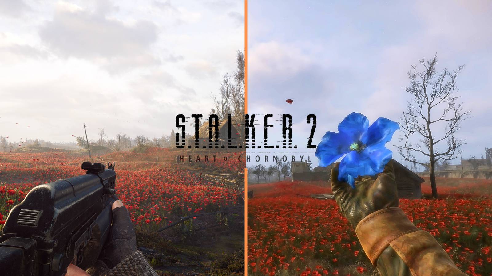 How To Get Weird Flower in Stalker 2
