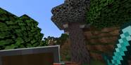 Minecraft How To Grow Pale Oak Trees