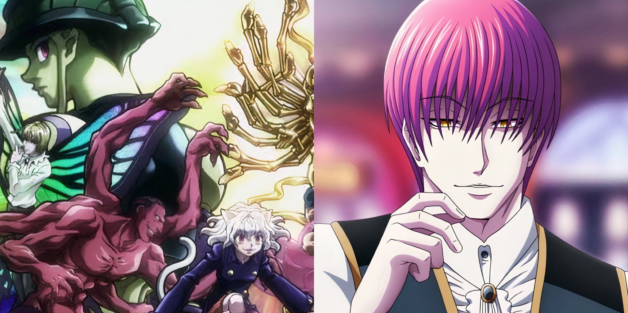 Hunter X Hunter: Togashi Reveals Why Hisoka Was Not in the Chimera Ant Arc