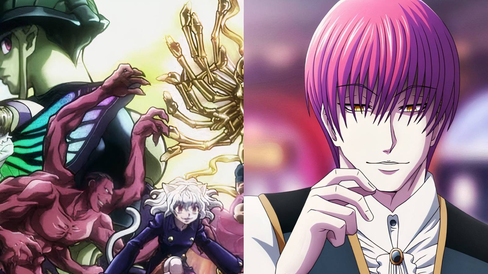Hunter X Hunter hxh Togashi Reveals Why Hisoka Was Not in the Chimera Ant Arc