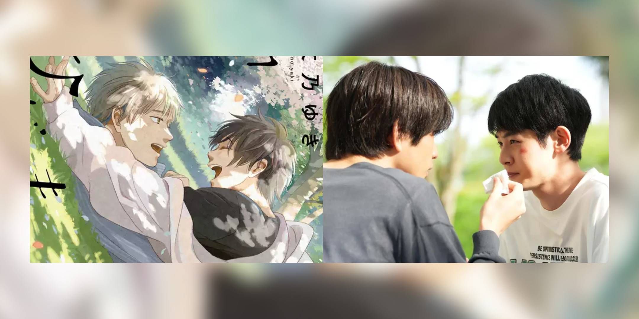 Best BL Manga With Official English Translations