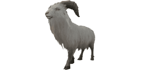 Enshrouded goat