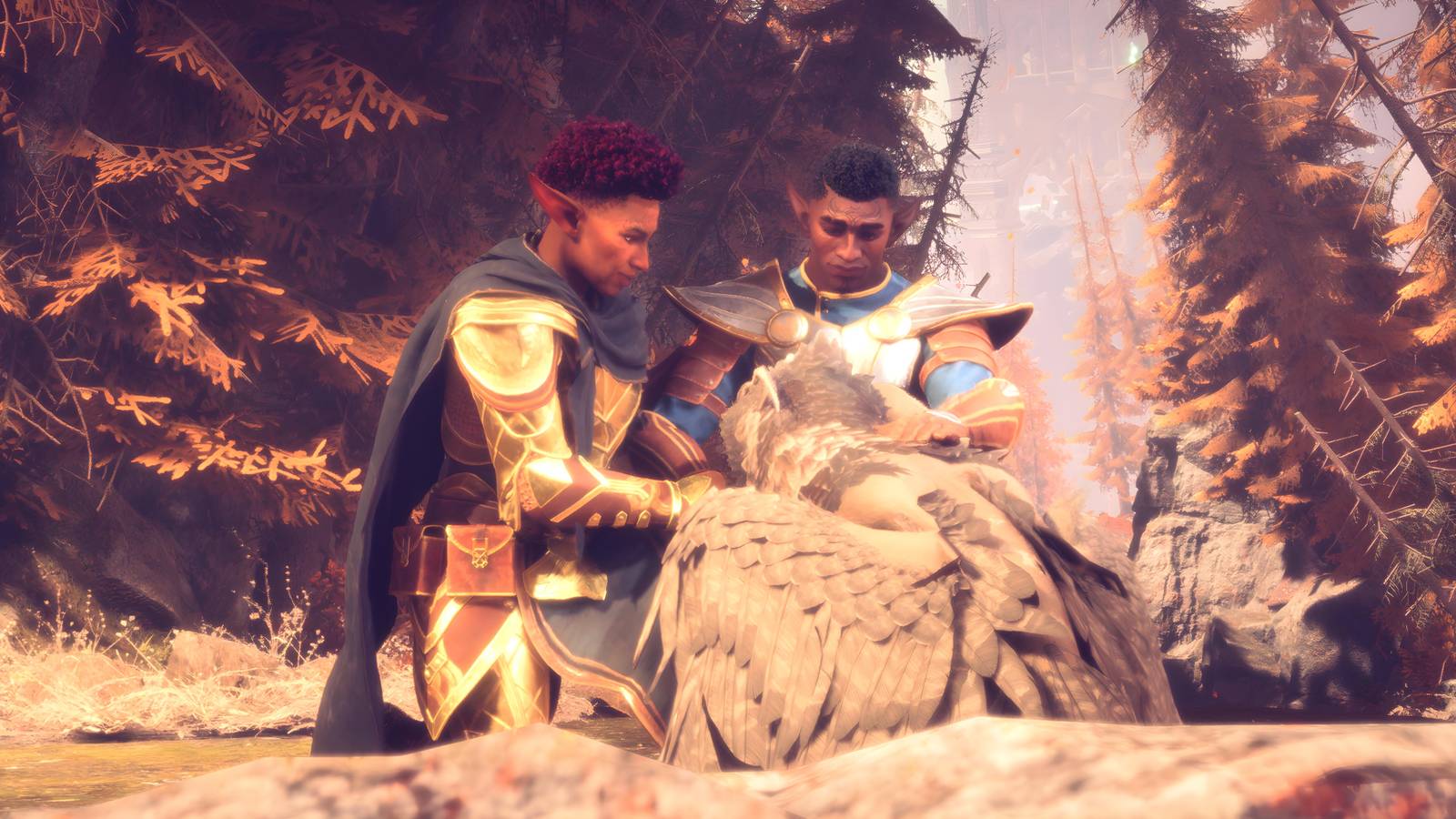 davrin rook dragon age the veilguard grey warden