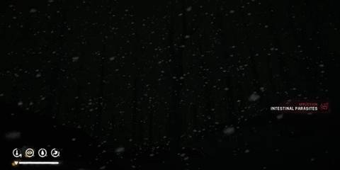 Player With Internal Parasites Notification