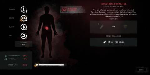 Player With Internal Parasites Displayed In Menu