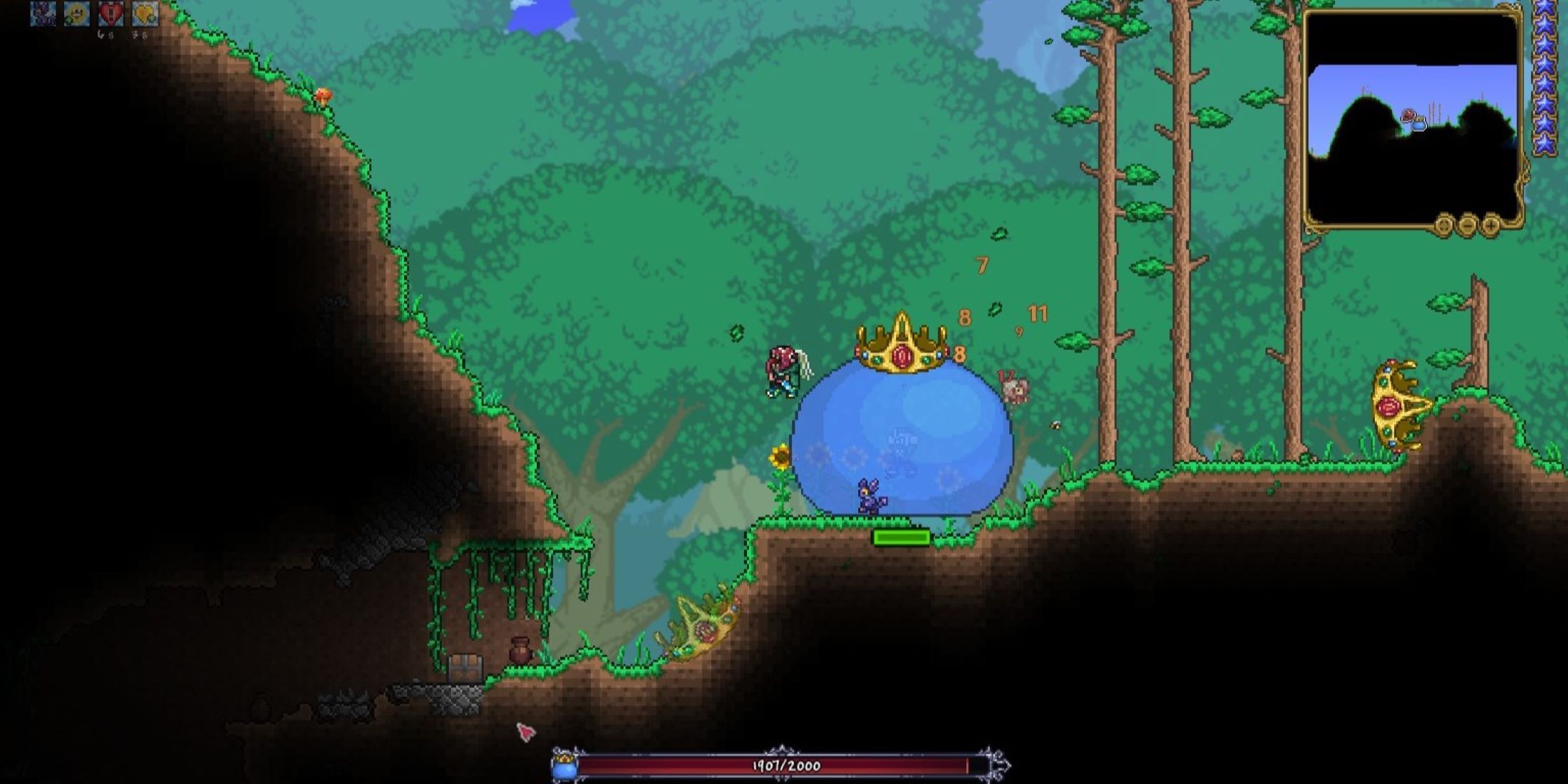 King Slime At Rest In Forest