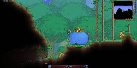 King Slime At Rest In Forest