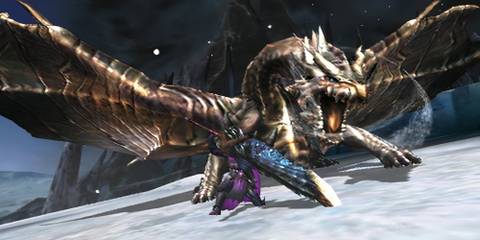 Rusted Kushala Daora fighting hunter.