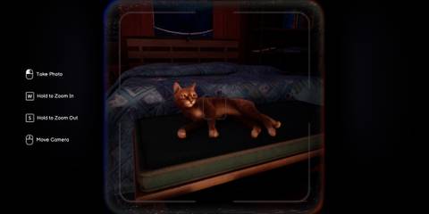 life-is-strange-double-exposure-cat-photo-1