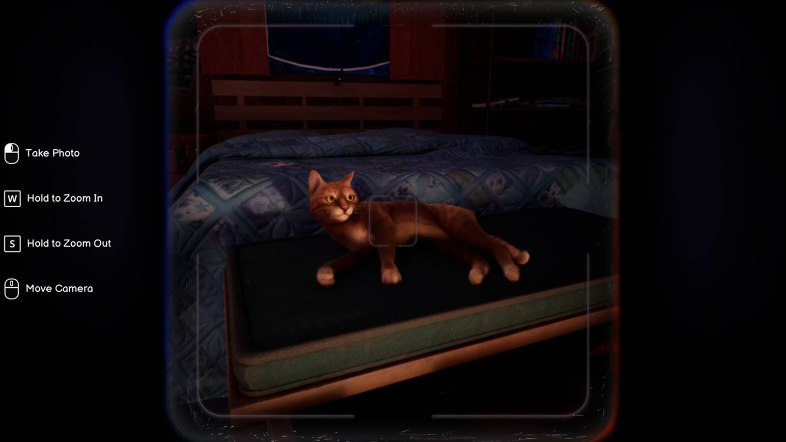 life-is-strange-double-exposure-cat-photo-1