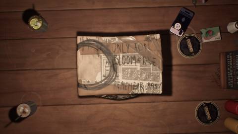 Lost Records Bloom & Rage Press Image 6