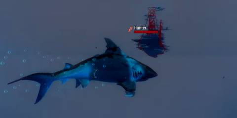 Gameplay screenshot of Maneater