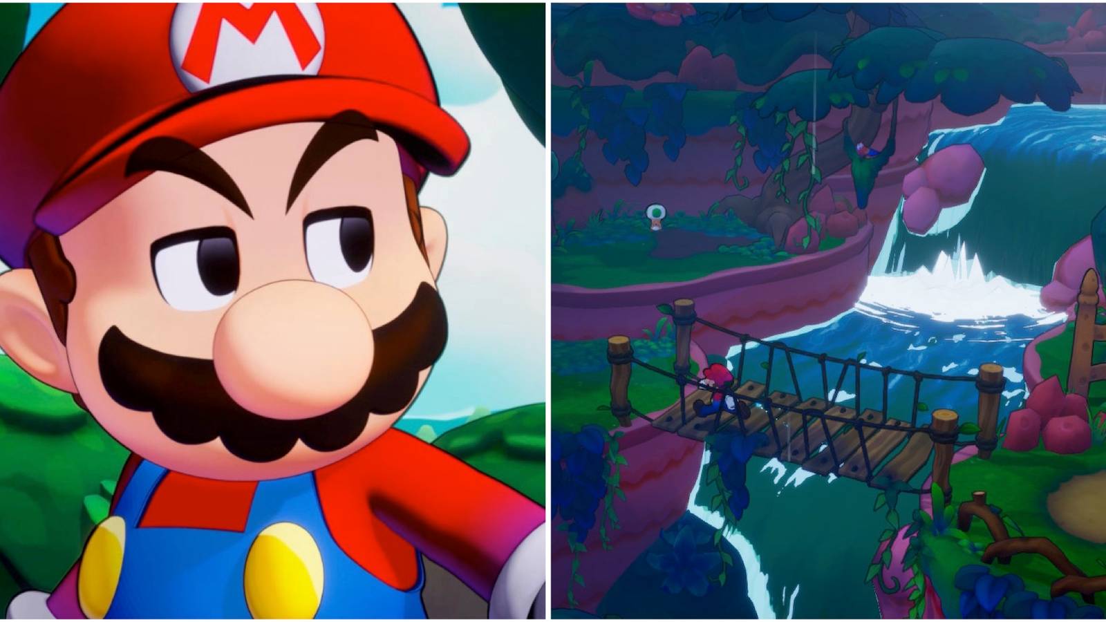 Mario and Exploring Raynforst Island in Mario & Luigi Brothership