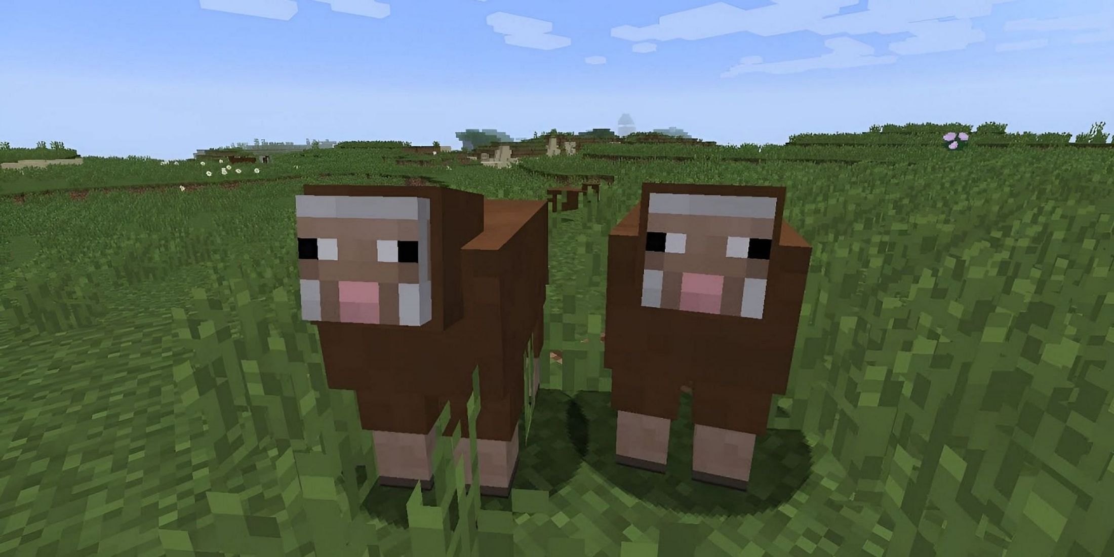 Un jugador de Minecraft accidentalmente hace que todas sus ovejas se vuelvan brillantes